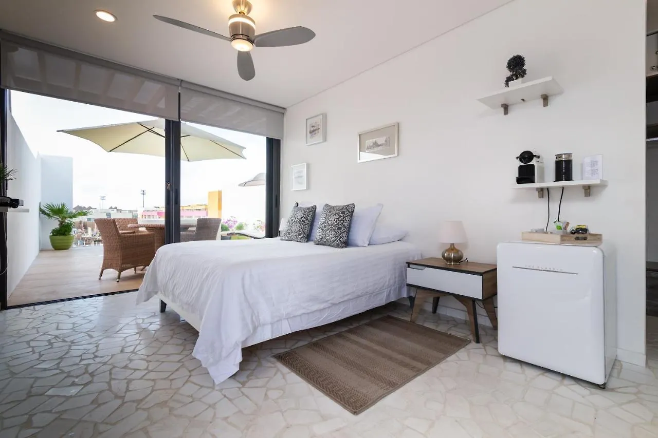 Апартаменты Healing Roof Terrace Плая-дель-Кармен
